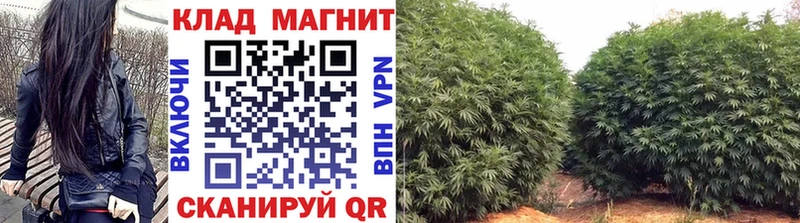 Цена Новомосковск MDMA  ГАШИШ  Конопля  СК 