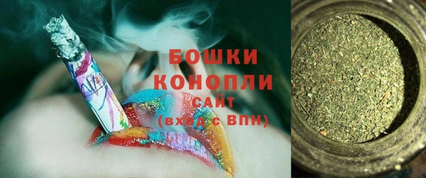 первитин Богданович