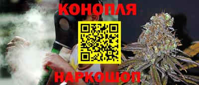 индика Партизанск