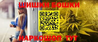 индика Партизанск