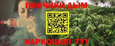 индика Партизанск