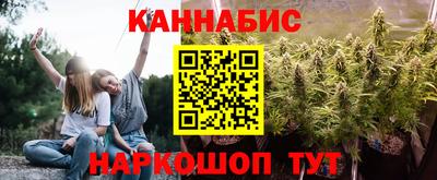 индика Партизанск