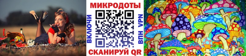 Галлюциногенные грибы Psilocybine cubensis  Новомосковск 