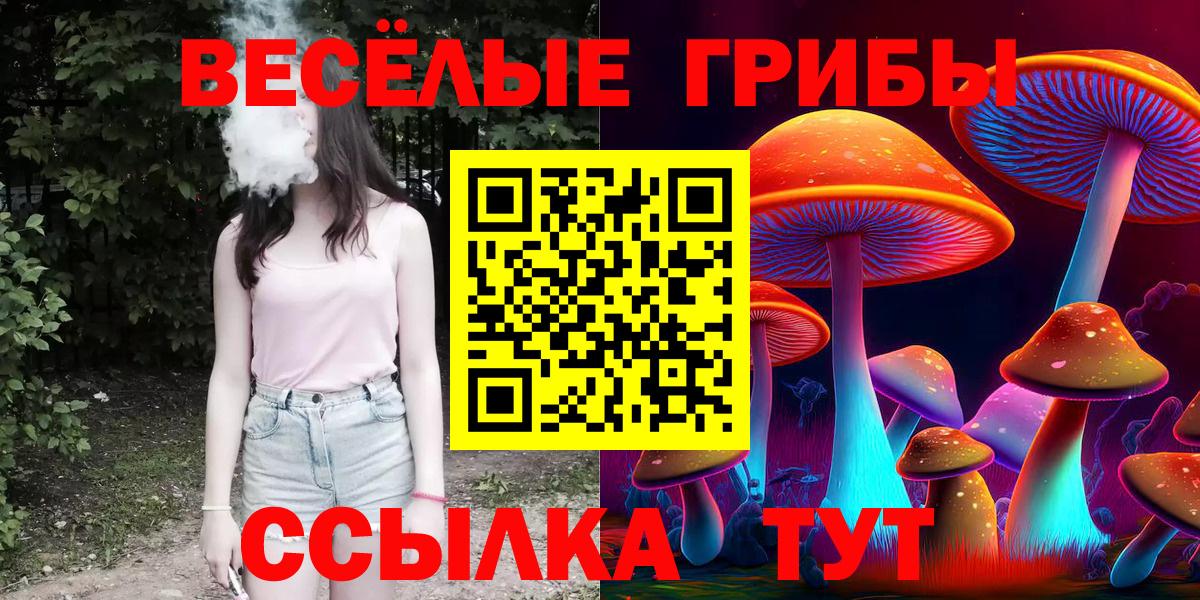 Новомосковск  Псилоцибиновые грибы MAGIC MUSHROOMS  Вход с VPN 