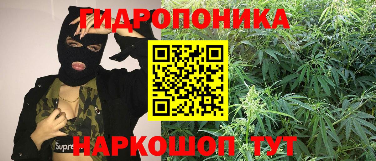 Бошки марихуана Bruce Banner  Вход с VPN  Бошки Шишки VHQ  Новомосковск  Канабис тримм 