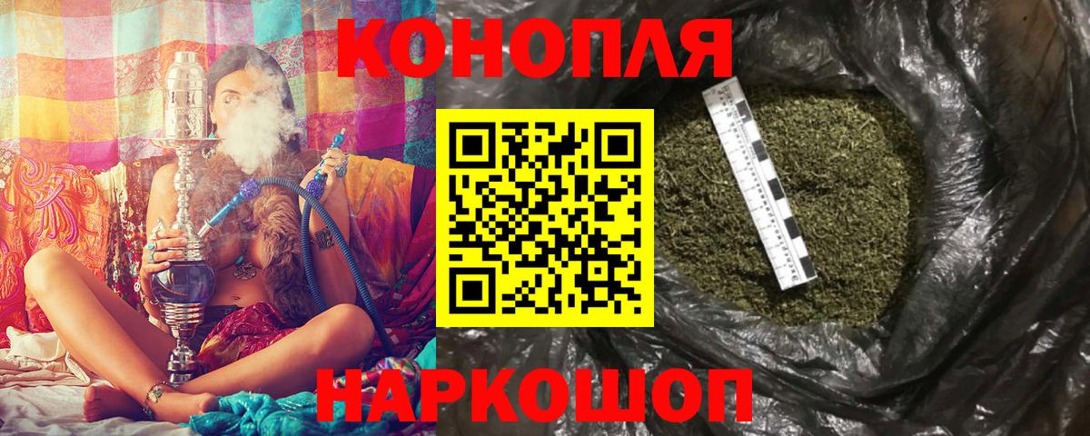 Каннабис сатива Новомосковск